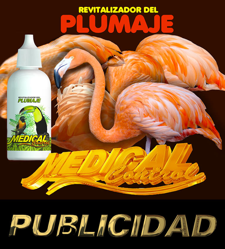 publicidad